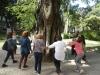 arteterapia-no-parque13