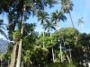 arteterapia-no-parque14