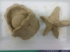 palestra_wuwei_8