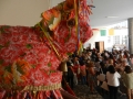DSCN5397