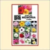 Jogo da Memória - FLORES - Produto LUDI